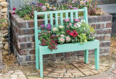 12月に作って春まで長く楽しむ！【オニちゃんの冬の寄せ植え】2選（サムネイル画像6）