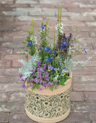 YouTubeが大人気【オニちゃん】直伝！寒さに負けない寄せ植えの作り方とは？（サムネイル画像5）