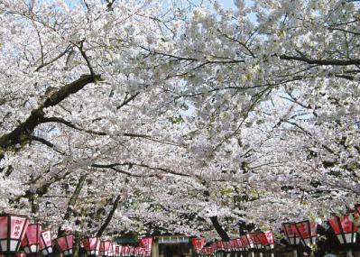 【憧れの鉄道に乗ってひとり旅】「クラブツーリズム×ゆうゆうコラボ企画」女性限定参加者募集！（サムネイル画像6）