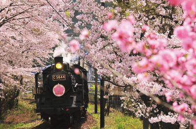 【憧れの鉄道に乗ってひとり旅】「クラブツーリズム×ゆうゆうコラボ企画」女性限定参加者募集！（サムネイル画像3）