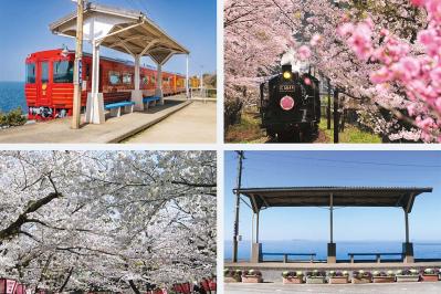 【憧れの鉄道に乗ってひとり旅】「クラブツーリズム×ゆうゆうコラボ企画」女性限定参加者募集！