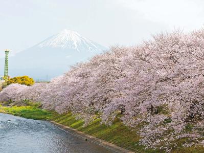 【憧れの鉄道に乗ってひとり旅】「クラブツーリズム×ゆうゆうコラボ企画」女性限定参加者募集！（サムネイル画像5）