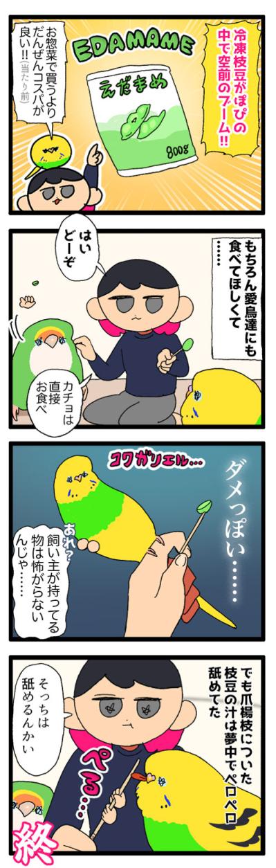 やめてほしさよりかわいさ7倍！？セキセイインコ・カチョリエルの水浴び【鳥マンガ #184】（サムネイル画像6）