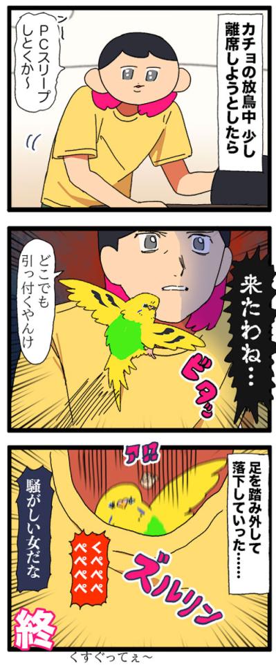 飼い主がセキセイインコの放鳥中にコーヒーを飲めない理由は？曲芸レベルのカチョに注目！【鳥マンガ #180】（サムネイル画像4）