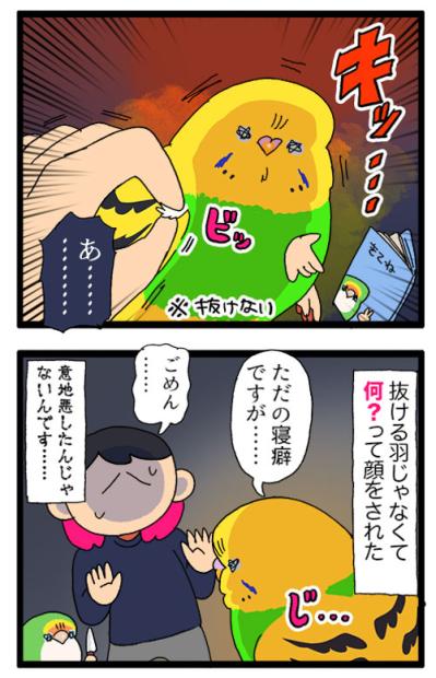 ついに根負け。セキセイインコの呼び鳴きに耐えきれなくなった飼い主がとった行動は？【鳥マンガ #185】（サムネイル画像5）