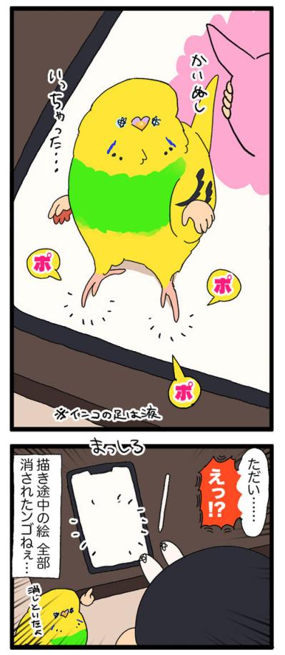 あやうく大惨事！飼い主がマンガを描いていたiPadの上を、セキセイインコが歩いたら？【鳥マンガ #183】（サムネイル画像7）