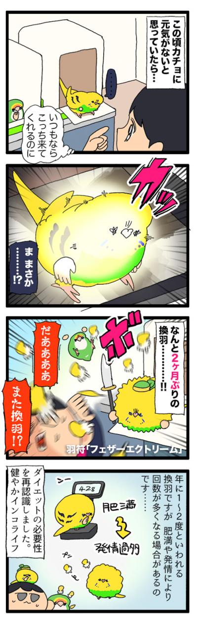 換羽期再び…それでも飼い主がインコに餌をたくさんあげてしまう理由に共感【鳥マンガ #181】（サムネイル画像3）