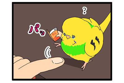 そうくるか！？飲み水交換の隙を狙って脱走を試みたセキセイインコ（と飼い主）の末路【鳥マンガ #179】