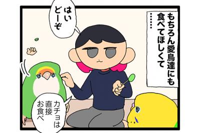 やめてほしさよりかわいさ7倍！？セキセイインコ・カチョリエルの水浴び【鳥マンガ #184】