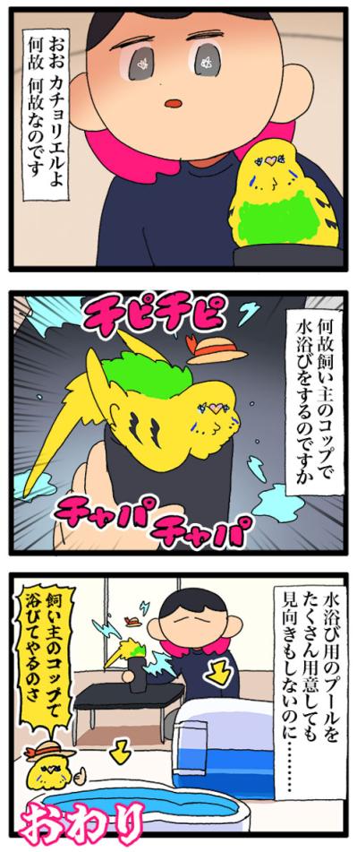 やめてほしさよりかわいさ7倍！？セキセイインコ・カチョリエルの水浴び【鳥マンガ #184】（サムネイル画像4）