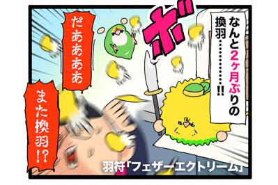 換羽期再び…それでも飼い主がインコに餌をたくさんあげてしまう理由に共感【鳥マンガ #181】