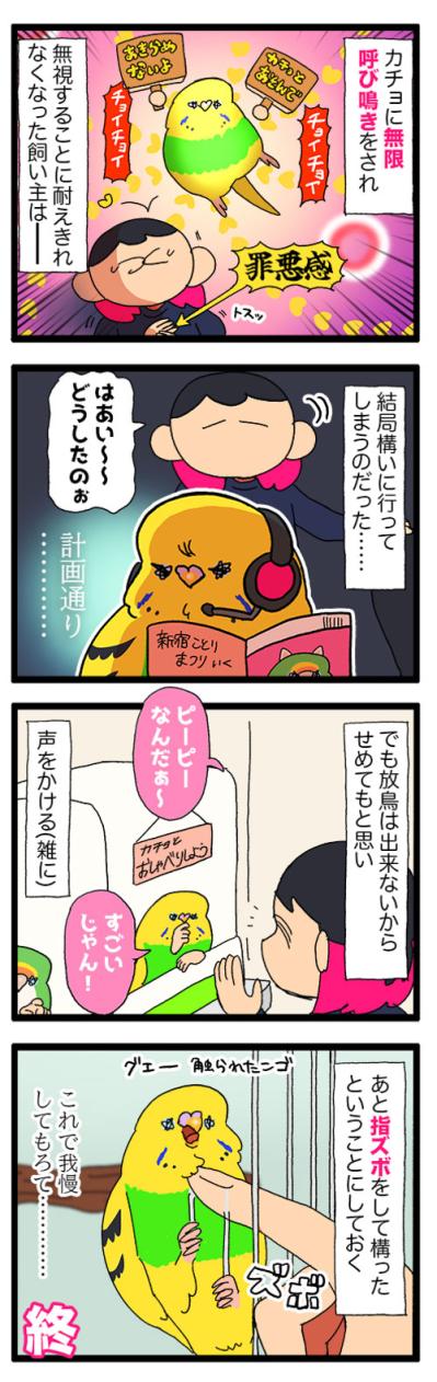 ついに根負け。セキセイインコの呼び鳴きに耐えきれなくなった飼い主がとった行動は？【鳥マンガ #185】（サムネイル画像3）