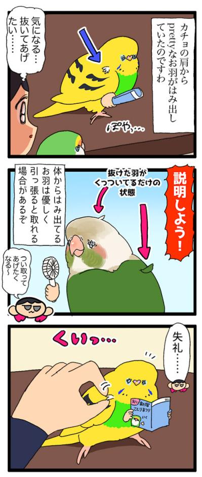 ついに根負け。セキセイインコの呼び鳴きに耐えきれなくなった飼い主がとった行動は？【鳥マンガ #185】（サムネイル画像4）
