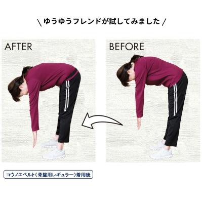 コウノエベルト　骨盤用レギュラー（サムネイル画像3）