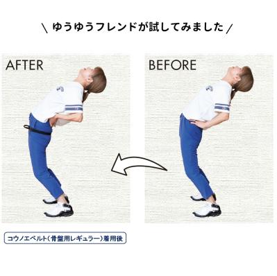 コウノエベルト　骨盤用レギュラー（サムネイル画像2）