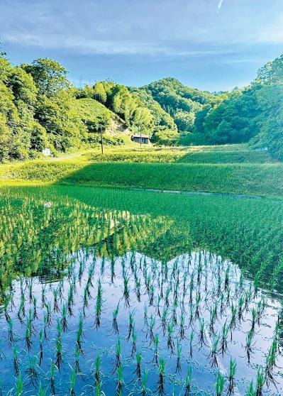 月刊『ゆうゆう』25周年記念！豪華家電・和牛・お米を23名にプレゼント（サムネイル画像5）