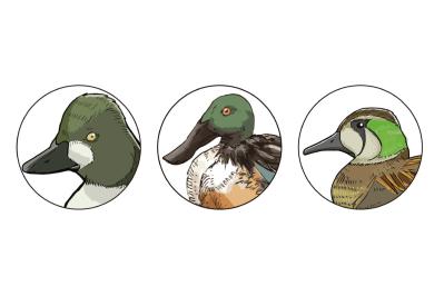 野鳥のイラスト（サムネイル画像）