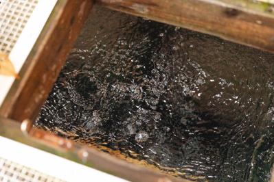 絶景、郷土料理、ものづくり体験など魅力満載！50代から楽しむ【只見線】の旅（サムネイル画像9）