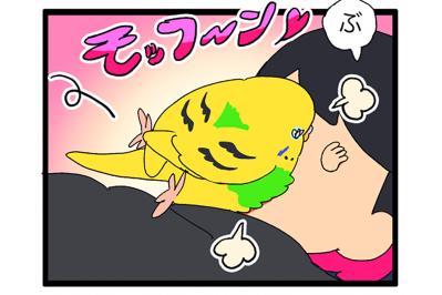 パワフルなカチョリエルが降り立った未踏の地は、幸せいっぱいの…【鳥マンガ #187】（サムネイル画像）