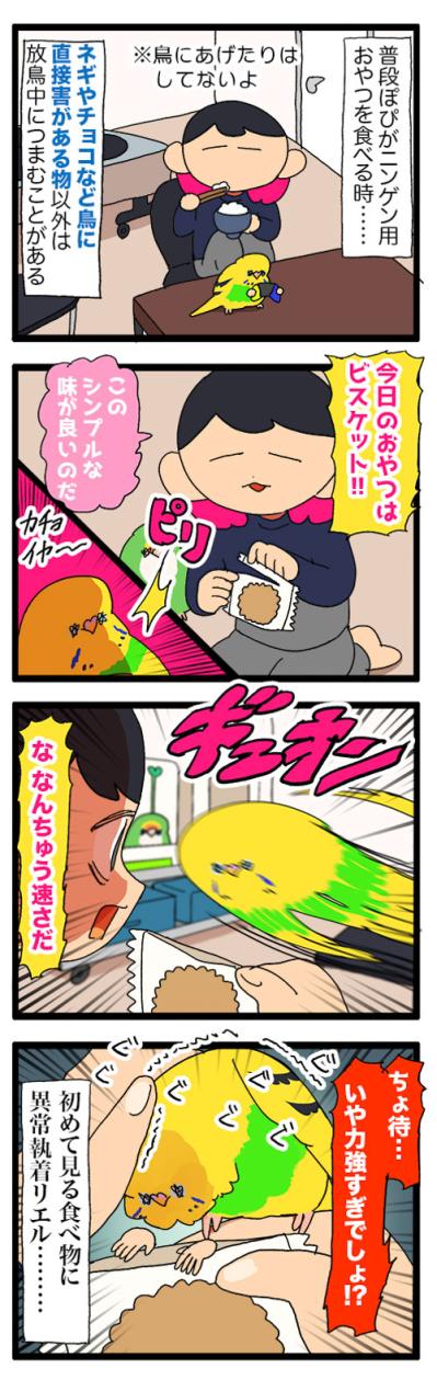 ホラー！？換羽期の鳥飼いさんの家を高速で横切る黒いものの正体は？【鳥マンガ #189】（サムネイル画像4）