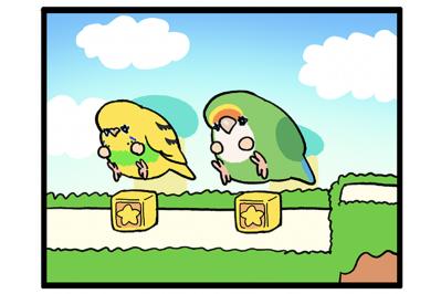 かわいい鳴き声が失われていく…女帝コザクラリスペクトのセキセイインコ【鳥マンガ #192】