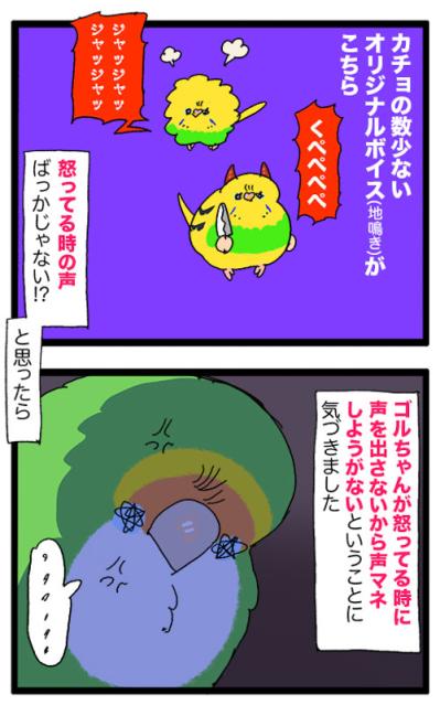 かわいい鳴き声が失われていく…女帝コザクラリスペクトのセキセイインコ【鳥マンガ #192】（サムネイル画像5）
