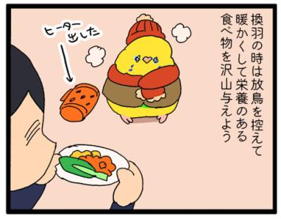絶賛換羽中のセキセイインコ。カゴの外に出たがらないので飼い主は寂しい…【鳥マンガ #191】（サムネイル画像6）