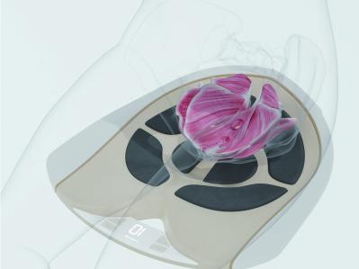 尿漏れ　SIXPAD　骨盤底筋（サムネイル画像）