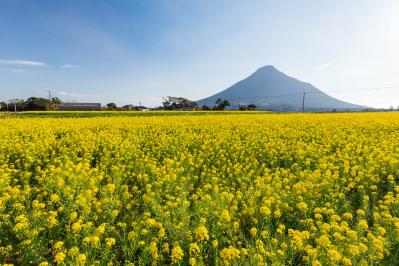 駅近だから老親との旅行にも◎【絶景駅・4選】山や渓谷美が眼前に！（サムネイル画像6）