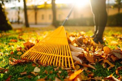 冬のうちに病害虫を撃退！庭と植物を守る簡単な対策法【ガーデニング】（サムネイル画像4）