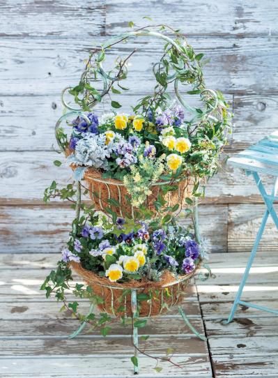 アイアン製の雑貨に花を植えたらこんなに素敵！ フローラ黒田園芸【黒田健太郎さん】の冬の華やぎ寄せ植え（サムネイル画像2）