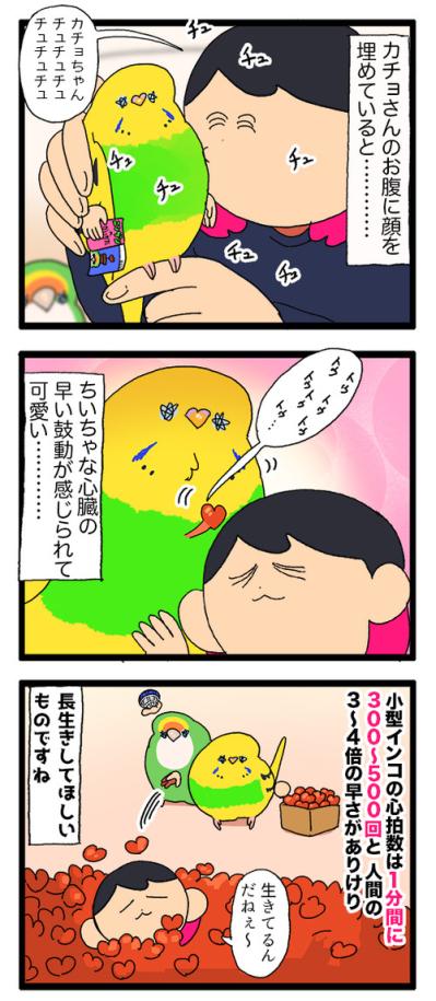 人間のおやつに敏感すぎるセキセイインコにまさかの情報共有疑惑！？【鳥マンガ #190】（サムネイル画像5）