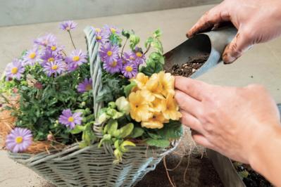 フローラ黒田園芸【黒田健太郎さん流】オーバル＆ラウンド形バスケットの寄せ植え。2つセットで飾るのがポイント！（サムネイル画像19）