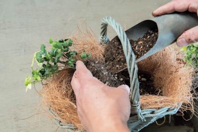 フローラ黒田園芸【黒田健太郎さん流】オーバル＆ラウンド形バスケットの寄せ植え。2つセットで飾るのがポイント！（サムネイル画像13）
