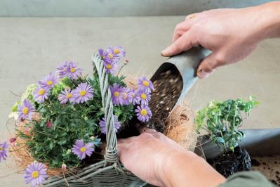 フローラ黒田園芸【黒田健太郎さん流】オーバル＆ラウンド形バスケットの寄せ植え。2つセットで飾るのがポイント！（サムネイル画像16）