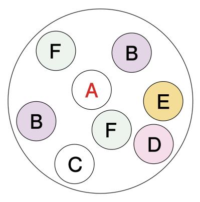 アイアン製の雑貨に花を植えたらこんなに素敵！ フローラ黒田園芸【黒田健太郎さん】の冬の華やぎ寄せ植え（サムネイル画像7）