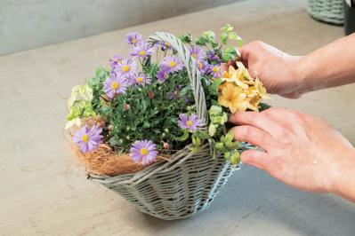 フローラ黒田園芸【黒田健太郎さん流】オーバル＆ラウンド形バスケットの寄せ植え。2つセットで飾るのがポイント！（サムネイル画像20）