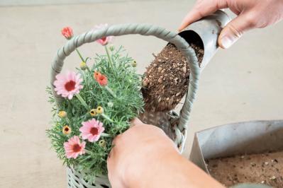 フローラ黒田園芸【黒田健太郎さん流】オーバル＆ラウンド形バスケットの寄せ植え。2つセットで飾るのがポイント！（サムネイル画像30）