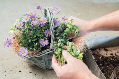 フローラ黒田園芸【黒田健太郎さん流】オーバル＆ラウンド形バスケットの寄せ植え。2つセットで飾るのがポイント！（サムネイル画像17）