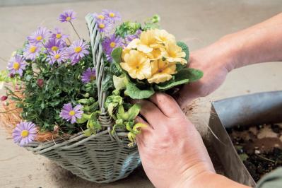 フローラ黒田園芸【黒田健太郎さん流】オーバル＆ラウンド形バスケットの寄せ植え。2つセットで飾るのがポイント！（サムネイル画像18）