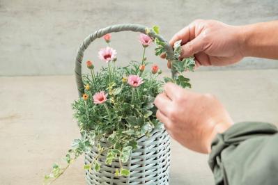 フローラ黒田園芸【黒田健太郎さん流】オーバル＆ラウンド形バスケットの寄せ植え。2つセットで飾るのがポイント！（サムネイル画像33）