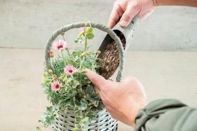 フローラ黒田園芸【黒田健太郎さん流】オーバル＆ラウンド形バスケットの寄せ植え。2つセットで飾るのがポイント！（サムネイル画像32）
