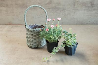 フローラ黒田園芸【黒田健太郎さん流】オーバル＆ラウンド形バスケットの寄せ植え。2つセットで飾るのがポイント！（サムネイル画像23）