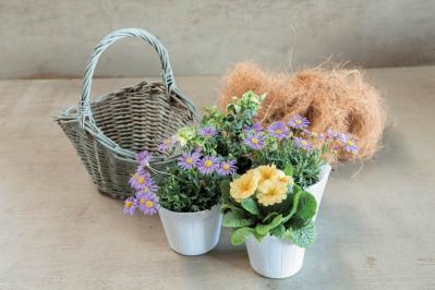 フローラ黒田園芸【黒田健太郎さん流】オーバル＆ラウンド形バスケットの寄せ植え。2つセットで飾るのがポイント！（サムネイル画像9）