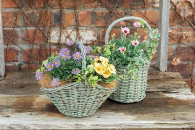 フローラ黒田園芸【黒田健太郎さん流】オーバル＆ラウンド形バスケットの寄せ植え。2つセットで飾るのがポイント！