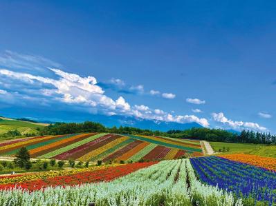 百花繚乱【花を愛でるひとり旅】「クラブツーリズム×ゆうゆうコラボ企画」女性限定参加者募集！（サムネイル画像5）