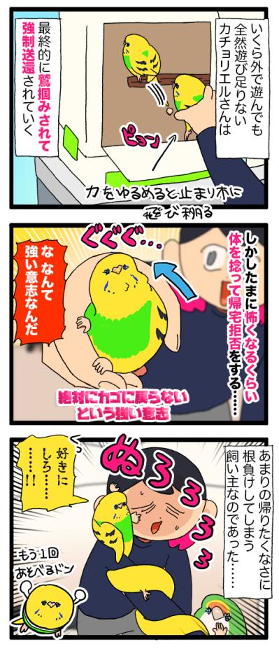 あるある！？元気のないインコ…病院を予約した瞬間回復する！【鳥マンガ #195】（サムネイル画像4）