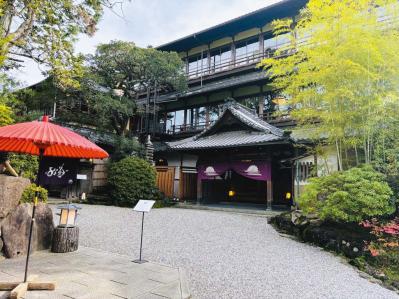 百花繚乱【花を愛でるひとり旅】「クラブツーリズム×ゆうゆうコラボ企画」女性限定参加者募集！（サムネイル画像11）