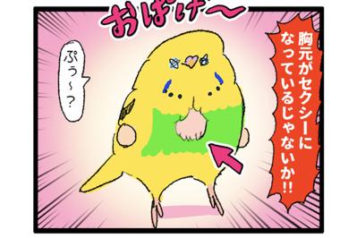 カチョ入院中。ゴルちゃんの鳴き声を聞きながら寂しさに耐えた日々…【鳥マンガ #197】