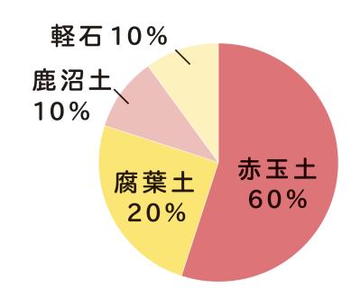 狭いスペースでもOK！ 鉢植えで育てる【クリスマスローズ】。開花株の植えつけ方は？（サムネイル画像3）